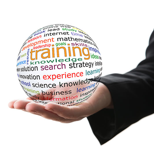 training-services-ace-wellintons